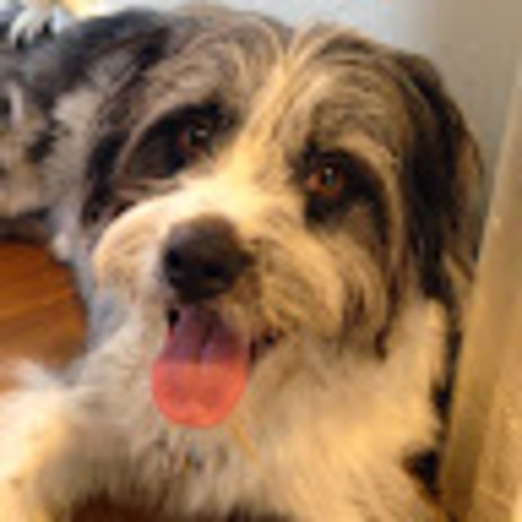 Meet your Posher, Peter - Picture 1 of 1